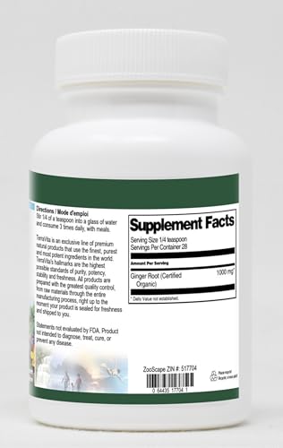 Polvo natural raíz de jengibre certificado 1 oz TerraVita paquete