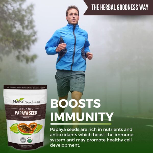 Polvo natural semillas papaya con papaína para limpieza y bienestar intestinal