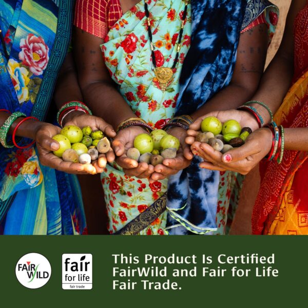 Version 1.0.0 Banyan Botanicals Triphala polvo sostenible y vegano