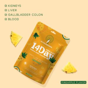 Version 1.0.0 polvo nutricional shilajit para salud y bienestar general