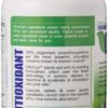 Polvo OPC suplemente OProCyn antioxidante 90 dosis