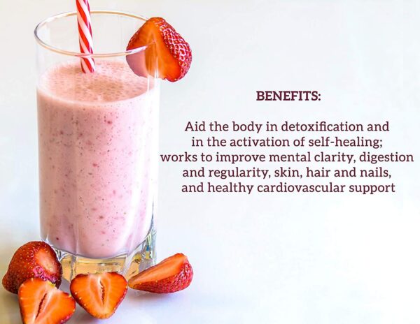 Polvo orgánico BarleyMax sabor baya para detoxificación