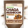 Polvo orgánico de champiñón Chaga XPRS Nutra en paquete