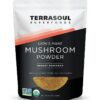 Polvo orgánico extracto hongo melena de león Terrasoul 5.5 onzas