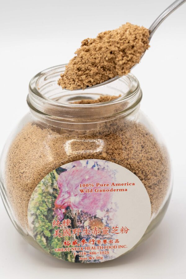 Frasco de polvo orgánico Ganoderma Lucidum Reishi