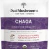 Version 1.0.0 Polvo orgánico de hongo chaga Real Mushrooms 60 porciones