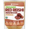 Polvo orgánico hongo reishi rojo XPRS Nutra paquete frontal