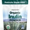 Version 1.0.0 Polvo orgánico de inulina de agave azul para salud intestinal