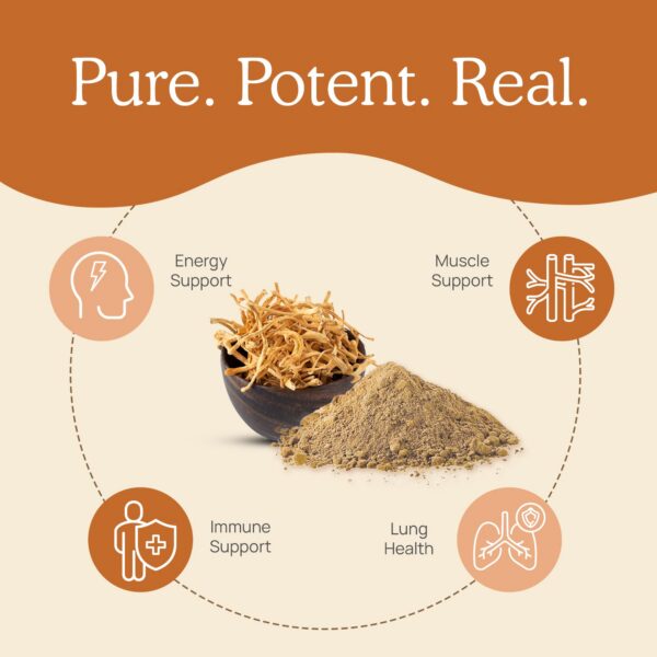 Cápsulas Real Mushrooms Cordyceps-M para energía y vitalidad