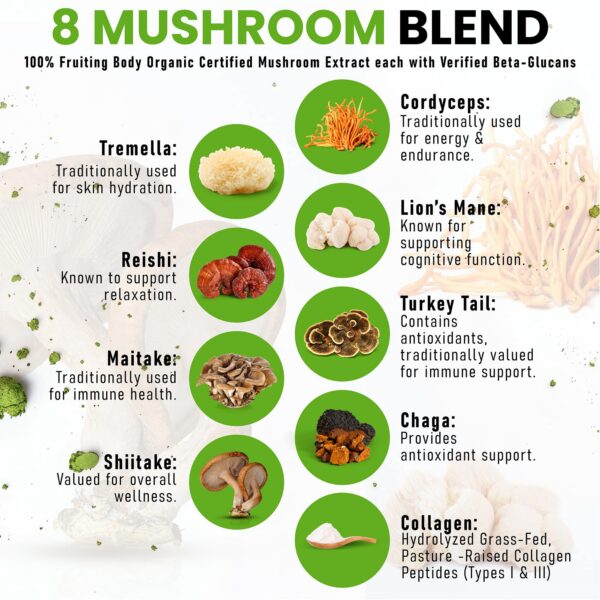 Polvo PowderVitamin para energía y enfoque con matcha y hongos