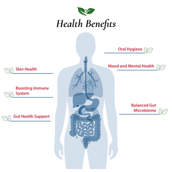 Polvo probiótico Foods For Gut L. Paracasei sin aditivos