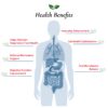 Polvo probiótico Foods For Gut sin aditivos para salud intestinal