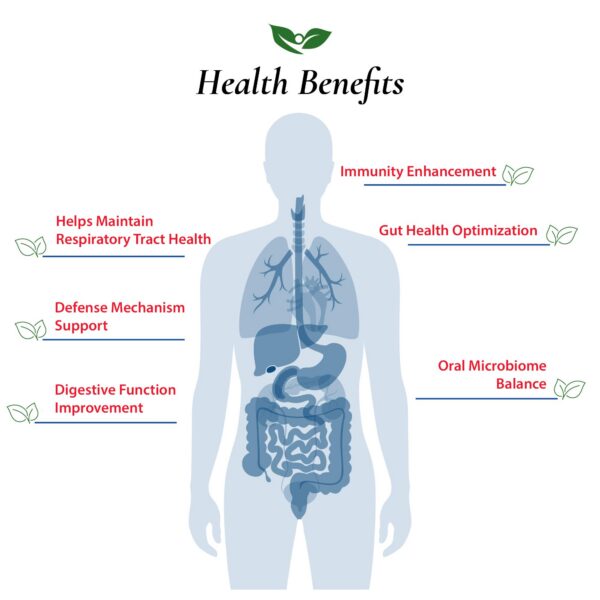 Polvo probiótico Foods For Gut sin aditivos para salud intestinal