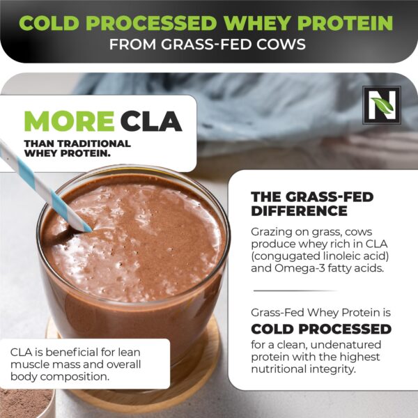 Polvo de proteína en cuchara listo para mezclar o hornear