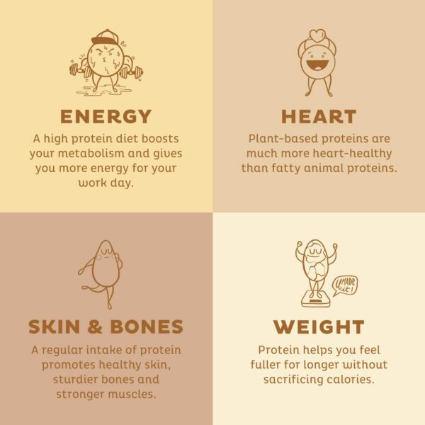 Polvo proteína vainilla orgánico KOS