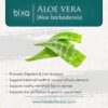 Version 1.0.0 Polvo puro de aloe barbadensis de Bixa Botanical