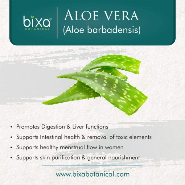 Version 1.0.0 Polvo puro de aloe barbadensis de Bixa Botanical