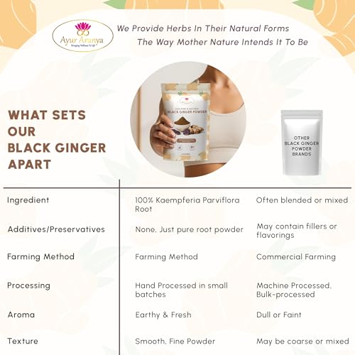 Detalle del polvo de raíz Kaempferia parviflora para energía natural