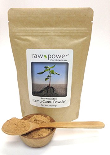 Polvo Raw Power Camu Camu vitamina C pura 227 gramos orgánico