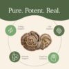 Polvo Real Mushrooms Turkey Tail sin aditivos ni rellenos adicionales