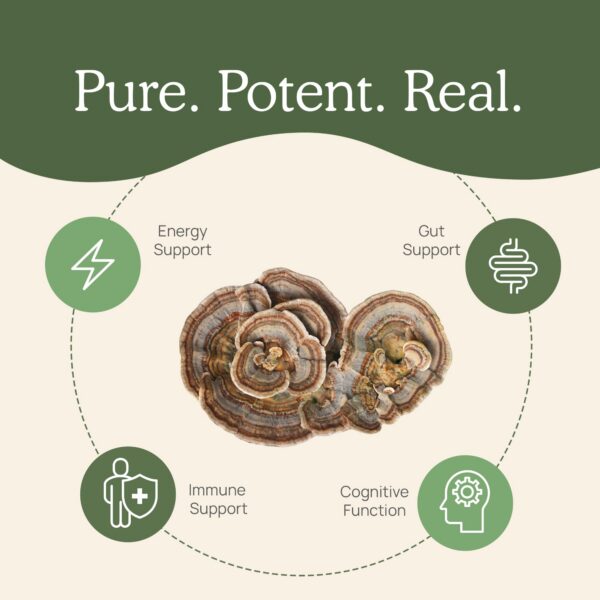 Polvo Real Mushrooms Turkey Tail sin aditivos ni rellenos adicionales