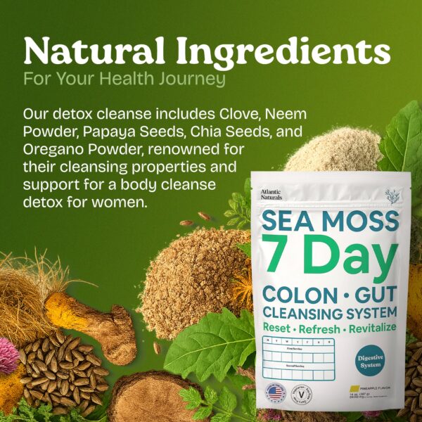 Polvo de senna en la mezcla Sea Moss