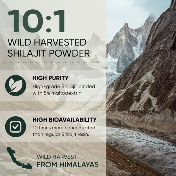 Polvo Shilajit para energía y vitalidad masculina