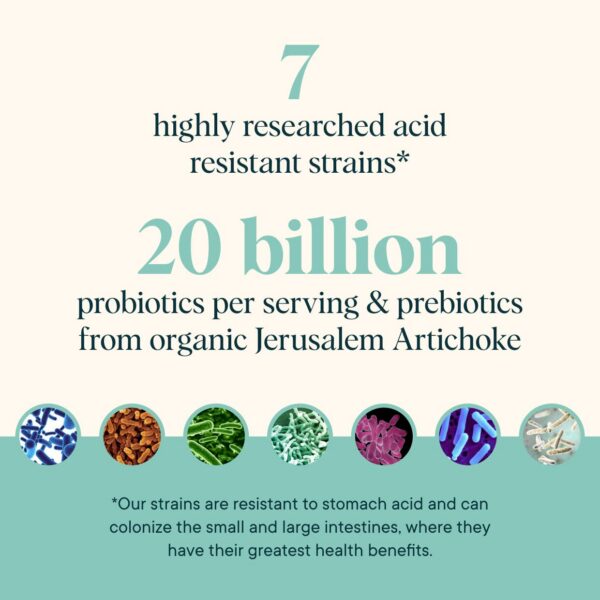 Polvo sinérgico probióticos y prebióticos Ora Organic