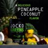 Polvo superalimento Jocko Fuel Greens con enzimas y probióticos
