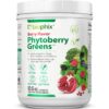 Polvo superalimento Phytoberry Greens con sabor a bayas