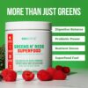 Polvo superfoods orgánico Gobiotix super greens reds