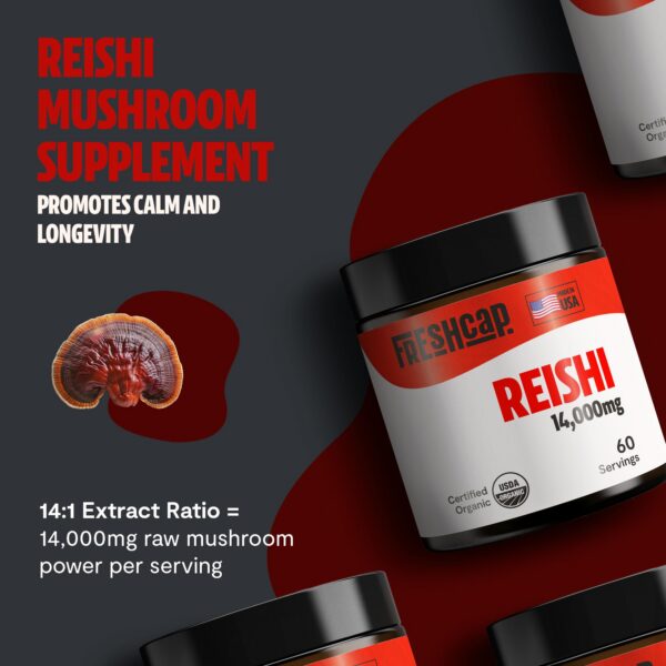 Polvo suplemento natural extracto reishi FreshCap para salud