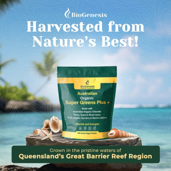 Polvo vegano Biogenesis SuperGreens energizante y saludable para bienestar