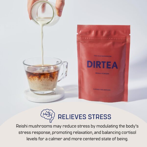 Polvo vegano de Reishi orgánico para bienestar general