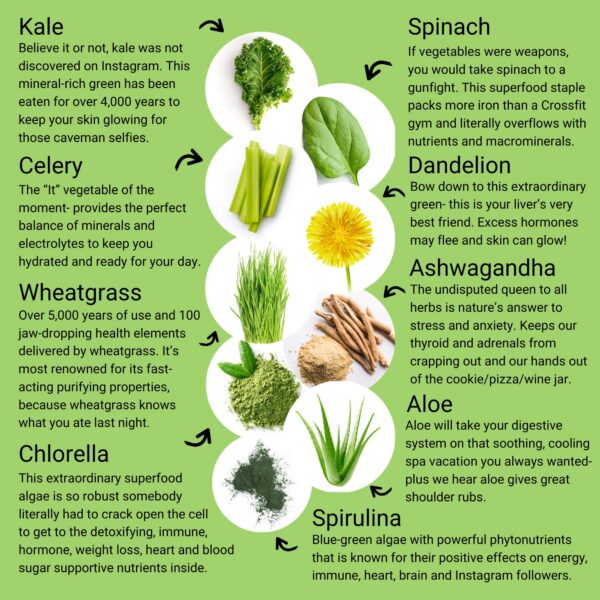 Polvo verde superalimento para hombres y mujeres vegano y sin gluten