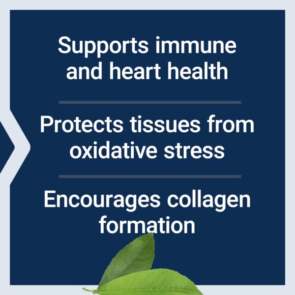 Version 1.0.0 Polvo de vitamina C buffered Life Extension