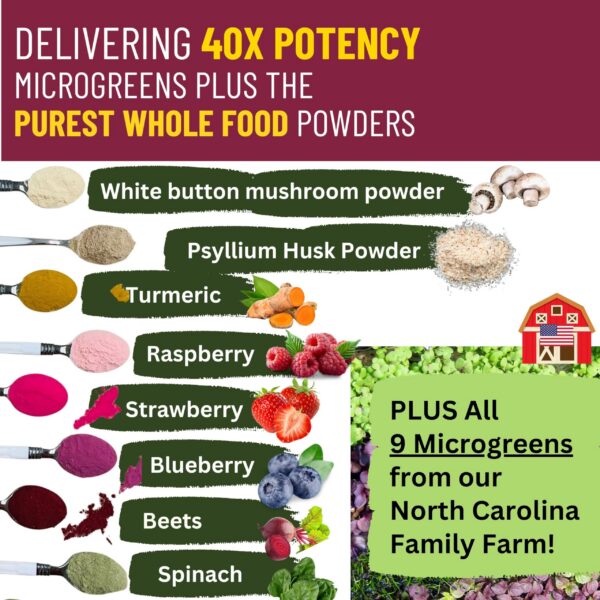 Version 1.0.0 InviNutri mezcla en polvo para nutrición y apoyo en comidas difíciles