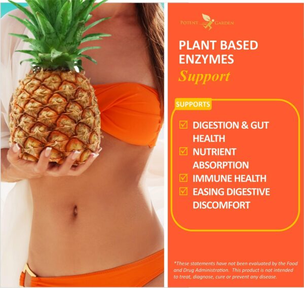 Frasco y cápsulas Potent Garden Digestive Enzymes