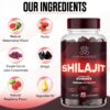 Presentación 60 gomitas Shilajit sin azúcar y veganas
