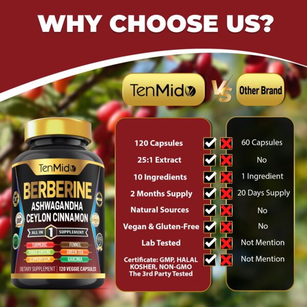 Version 1.0.0 Presentación de cápsulas Berberina con extracto antioxidante