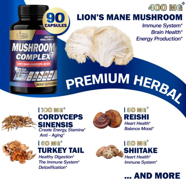 Version 1.0.0 Etiqueta frontal suplemento Cadane complejo hongos 13 en 1
