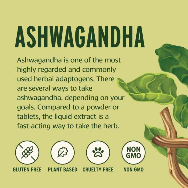 Presentación extracto ashwagandha orgánico Banyan Botanicals