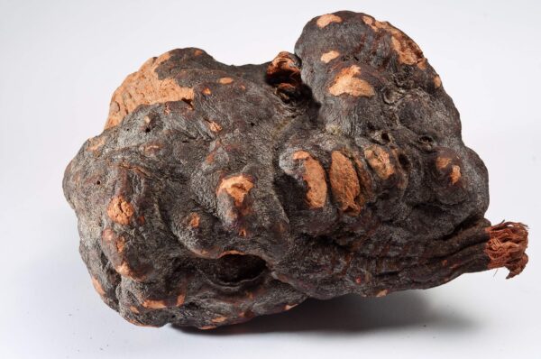 Presentación gotas 8 Immortals Dragon Herbs adaptógeno clásico