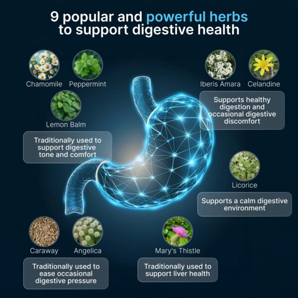 Presentación IBShield tintura herbal soporte digestivo natural