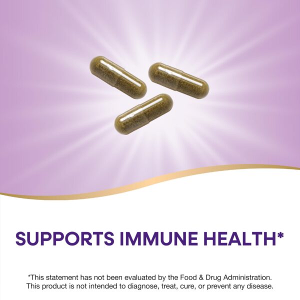 Presentación Nature's Way Echinacea Purpurea sin gluten 180 cápsulas