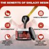 Presentación Shilajit 25 g