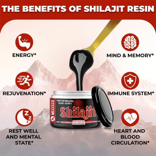 Presentación Shilajit 25 g