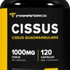 Frasco Primaforce Cissus Quadrangularis 120 cápsulas