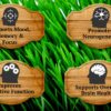 Frasco Primal Being cerebro de res grassfed