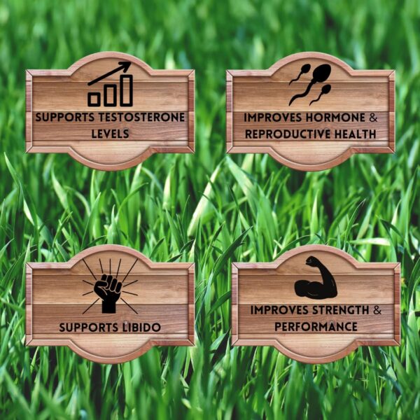 Primal Being suplemento de testículos de res